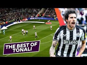 The Best Of Sandro Tonali In The Premier League