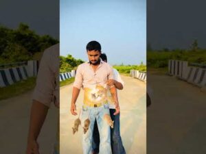 Suhail Ke Pait Me Chuhe 🤯 ICC Women’s T20 World Cup 2026 | #comedy #funny #shorts #ytshorts
