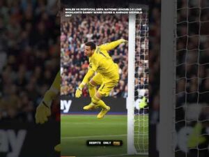 Wales vs Portugal UEFA Nations League 1 0 Loss Highlights Danny Ward Saves Ampadu Midfield Grit