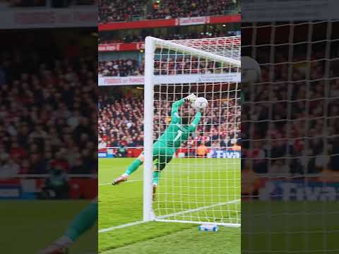 Arsenal vs Inter Milan| Incredible Goal #highlights