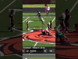 Tiger-Frogs Week 6 Opening Touchdown #missouri #football #highlights #wyf